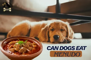 can dogs eat menudo