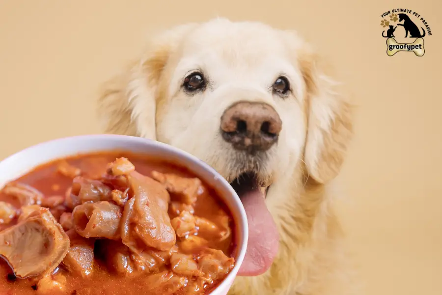 can dogs eat menudo