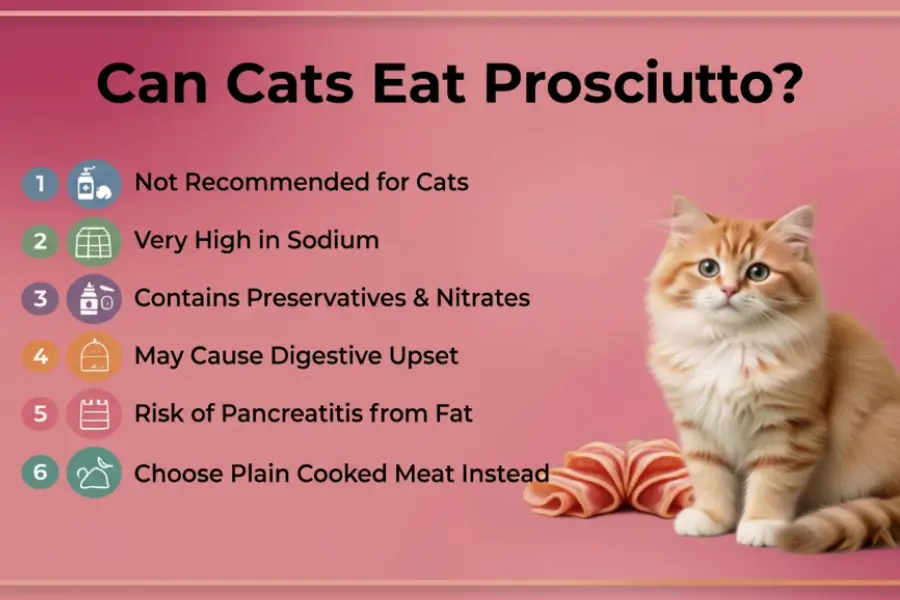 can cats eat prosciutto