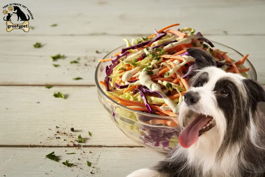 can dogs eat coleslaw