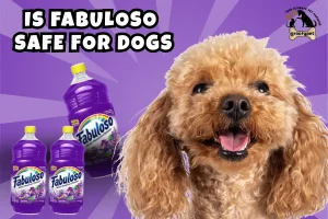 is fabuloso safe for dogs