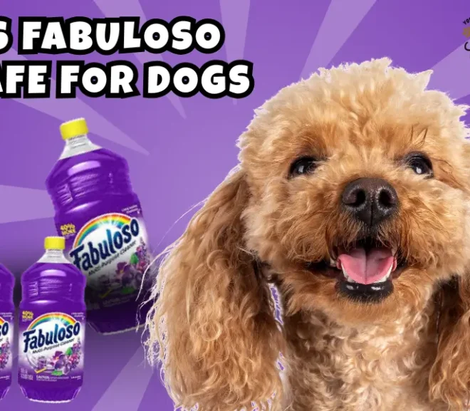 Is Fabuloso Safe for Dogs? A Helpful Guide for Pet Parents!