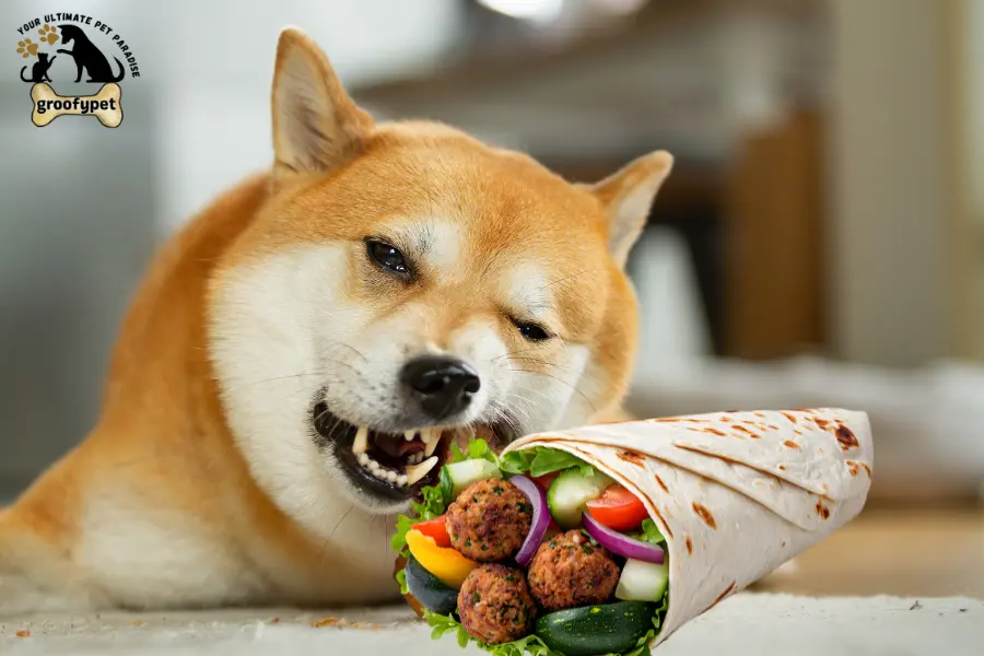 can dogs eat falafel