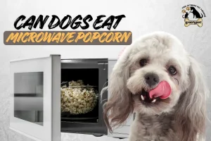 can dogs eat microwave popcorn