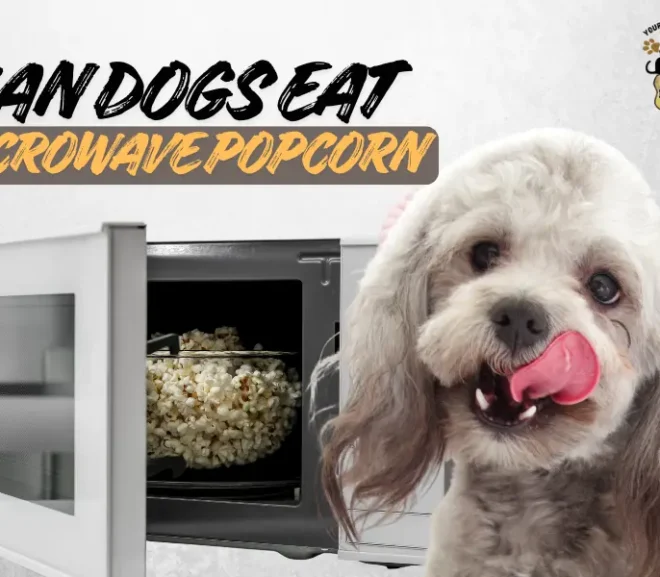 Can Dogs Eat Microwave Popcorn Safely Tips!