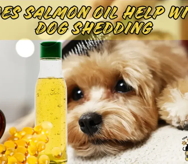 Does Salmon Oil Help With Shedding? Amazing Benefits for Your Dog!