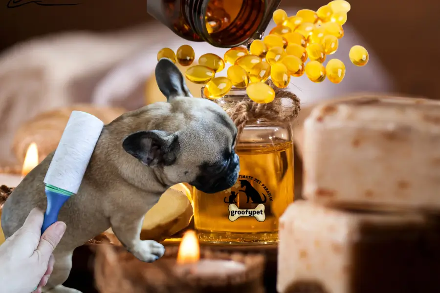 does salmon oil help with shedding