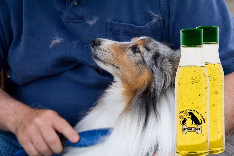 does salmon oil help with shedding