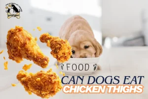 can dogs eat chicken thighs