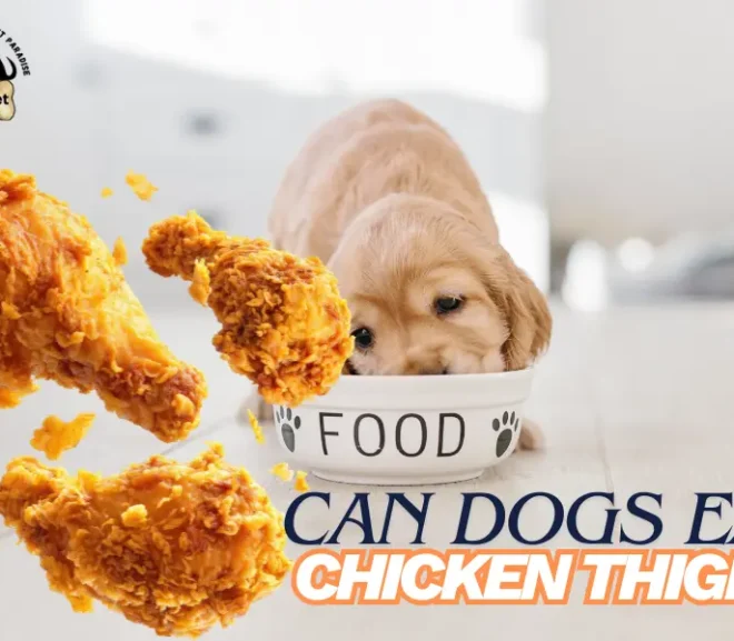 Can Dogs Eat Chicken Thighs Safe Way To Feed Your Dog!