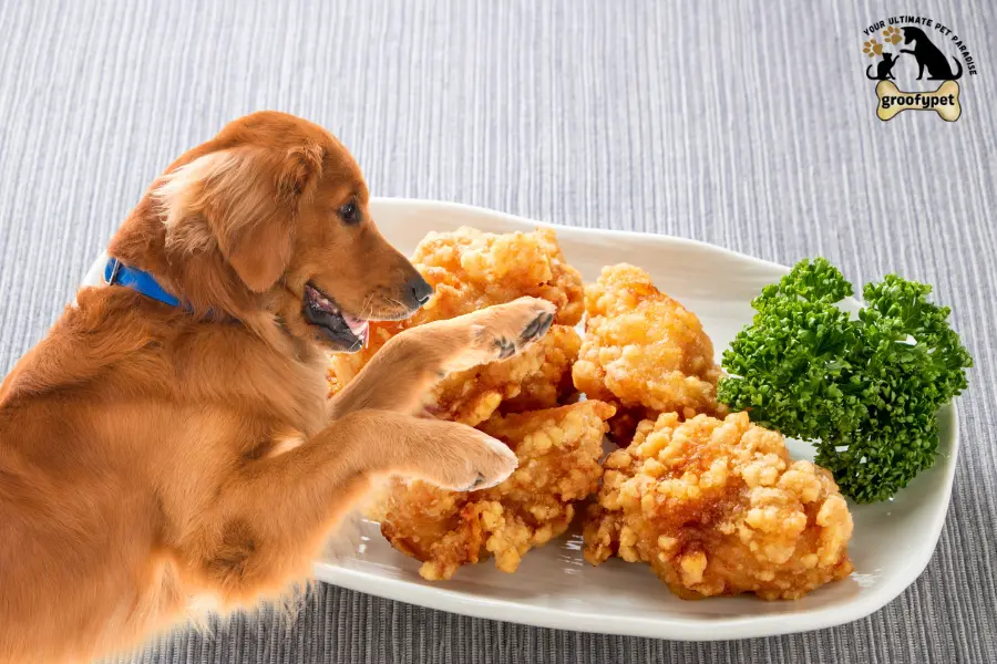 can dogs eat chicken thighs