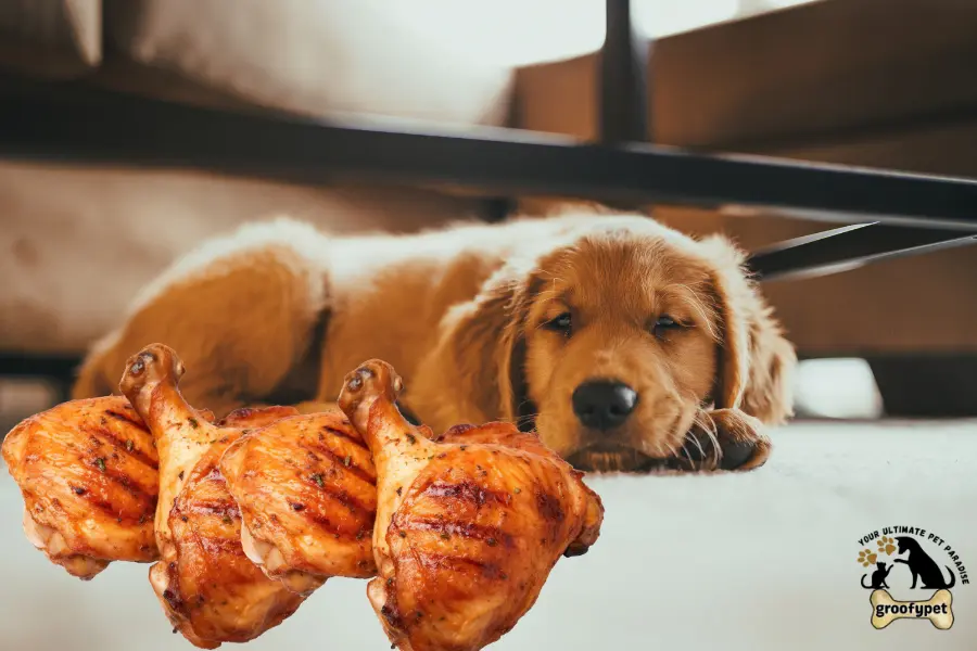 can dogs eat chicken thighs