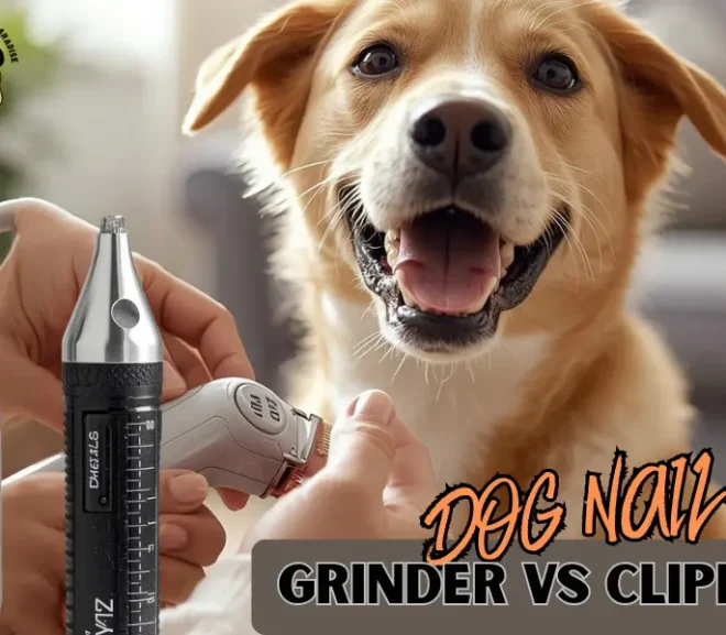 Dog Nail Grinder vs Clipper: Pros, Cons and What You Should Pick!