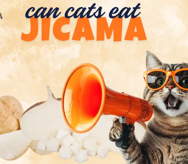 Can Cats Eat Jicama? Benefits Risks and Safe Serving Tips