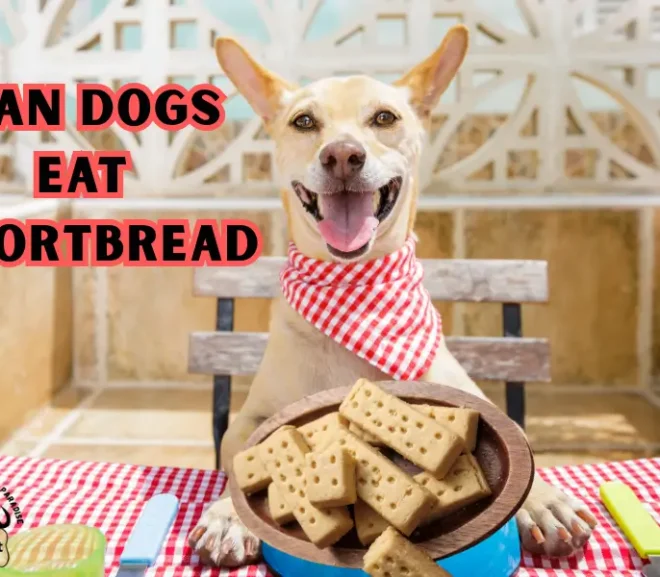 Can Dogs Eat Shortbread or Is It a Risky Treat for Dogs?