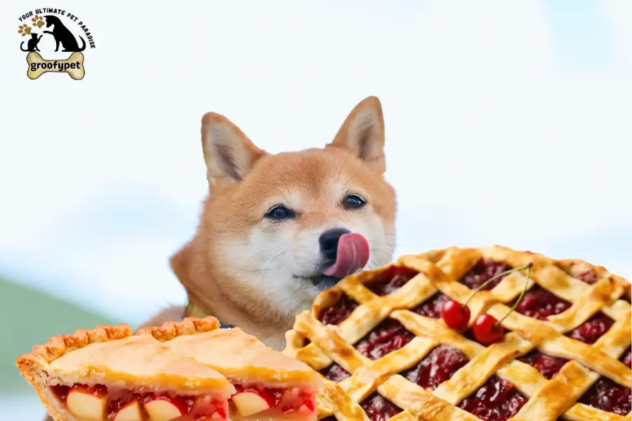 can dogs eat pie crust