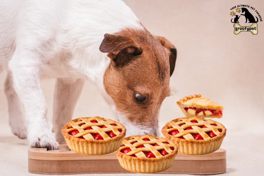 can dogs eat pie crust