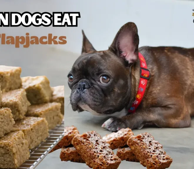 Can Dogs Eat Flapjacks? The Hidden Risks Most Owners Never Notice!