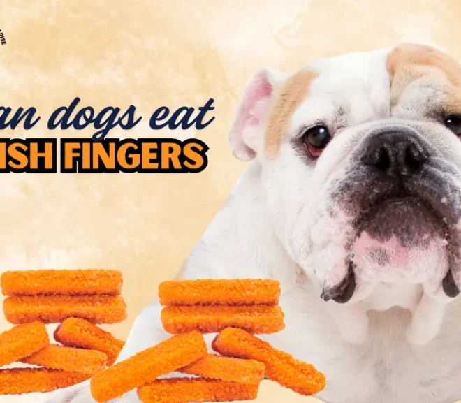 Can Dogs Eat Fish Fingers? A Simple Safety Guide You Cannot Ignore!