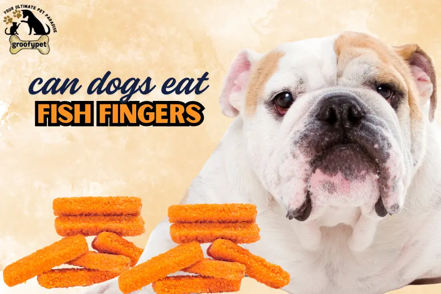 can dogs eat fish fingers