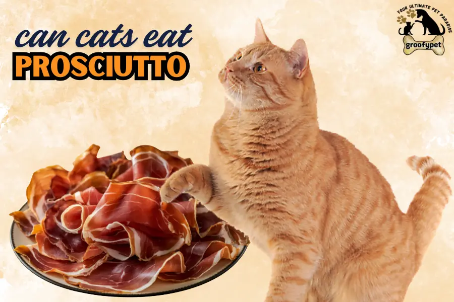 can cats eat prosciutto