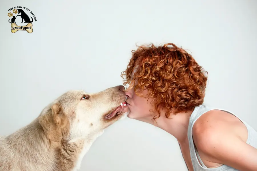 why does my dog lick my nose