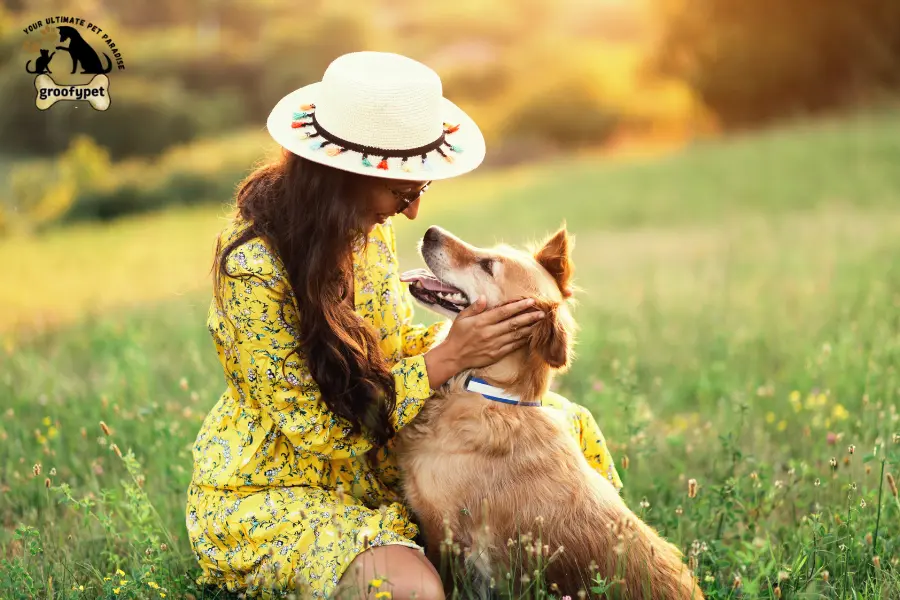 why does my dog lick my nose