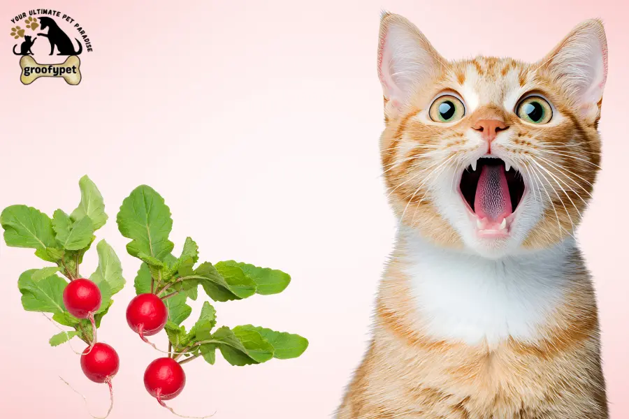 can cats eat radishes