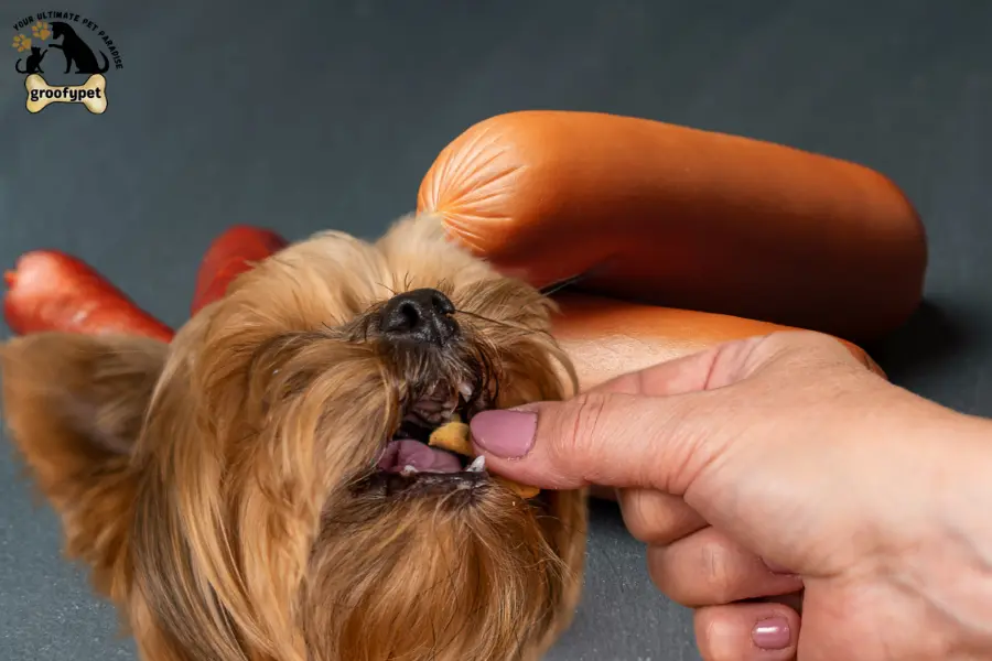 can dogs eat beef sausages