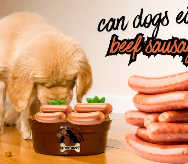Can Dogs Eat Beef Sausages? A Safety Guide for Dog Lovers!