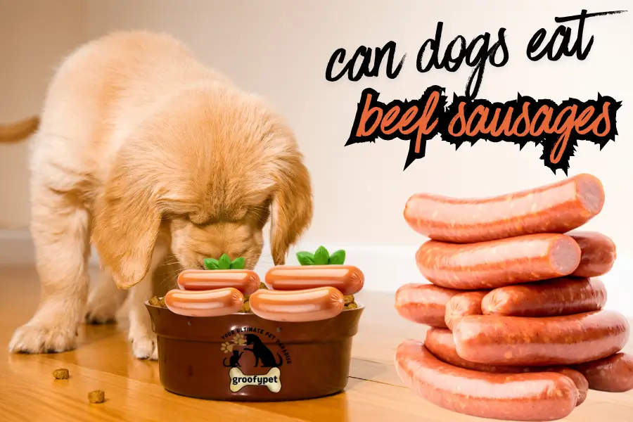 can dogs eat beef sausages