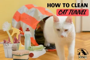 how to clean cat tunnel