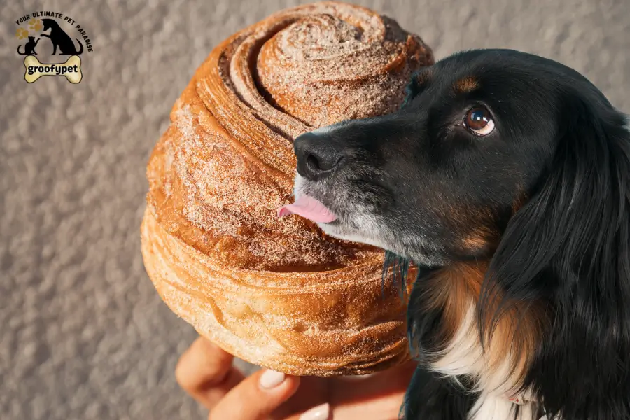 can dogs eat pastry