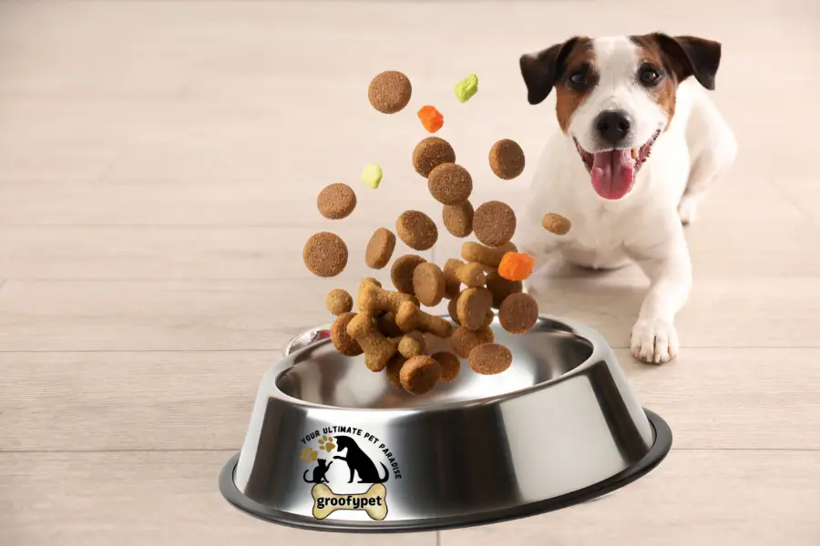 how much raw food should i feed my dog