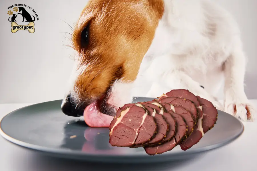 can dogs eat pastrami
