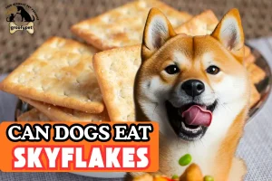 can dogs eat skyflakes