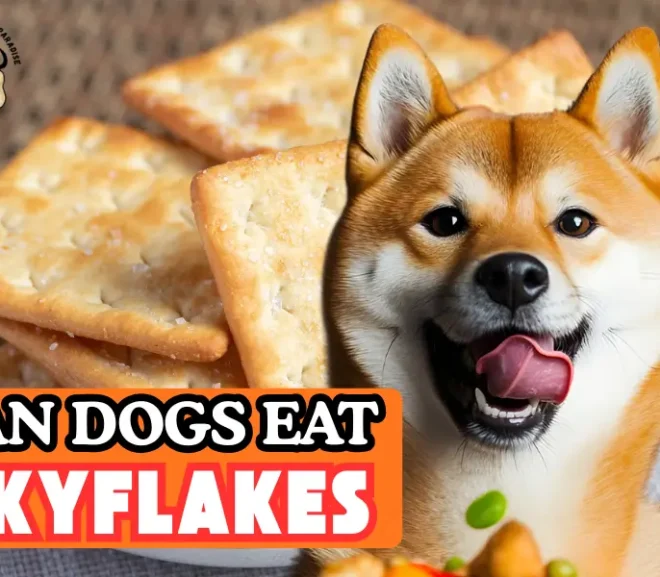 Can Dogs Eat Skyflakes? Risks Benefits And Safe Alternatives!