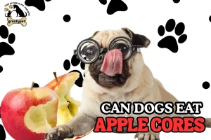 apple cores can dogs eat