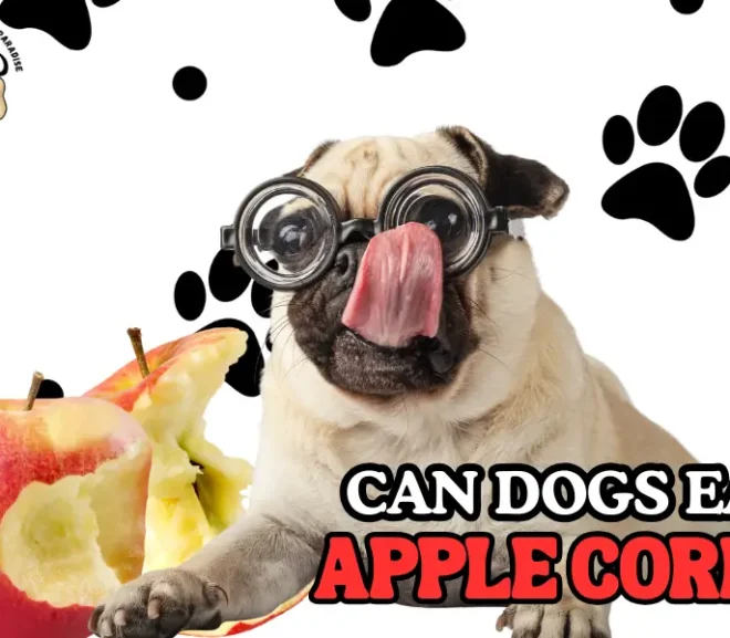 Can Dogs Eat Apple Cores?Risks,Benefits and Safe Alternatives!