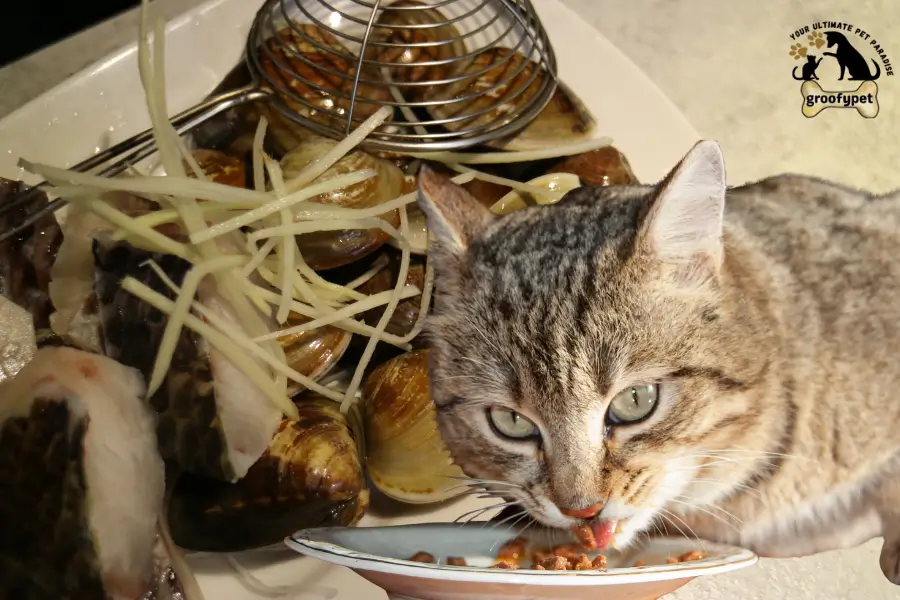 can cats eat clams