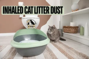 inhaled cat litter dust