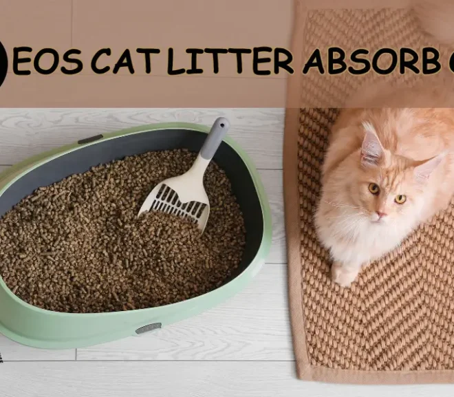 Does Cat Litter Absorb Oil?The Ultimate Spill Saving Guide!