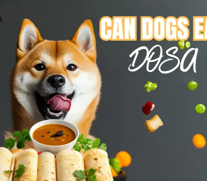 Can Dogs Eat Dosa? Risks Benefits and Safe Alternatives!