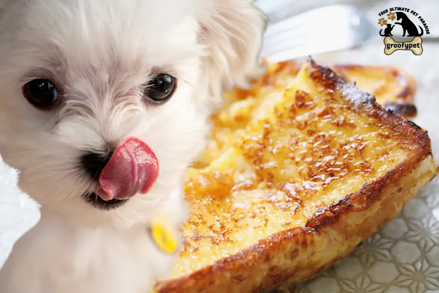 can dogs eat french toast
