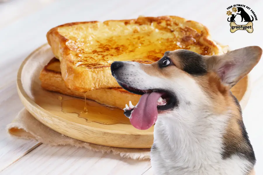can dogs eat french toast