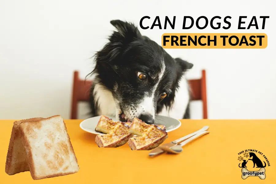 can dogs eat french toast