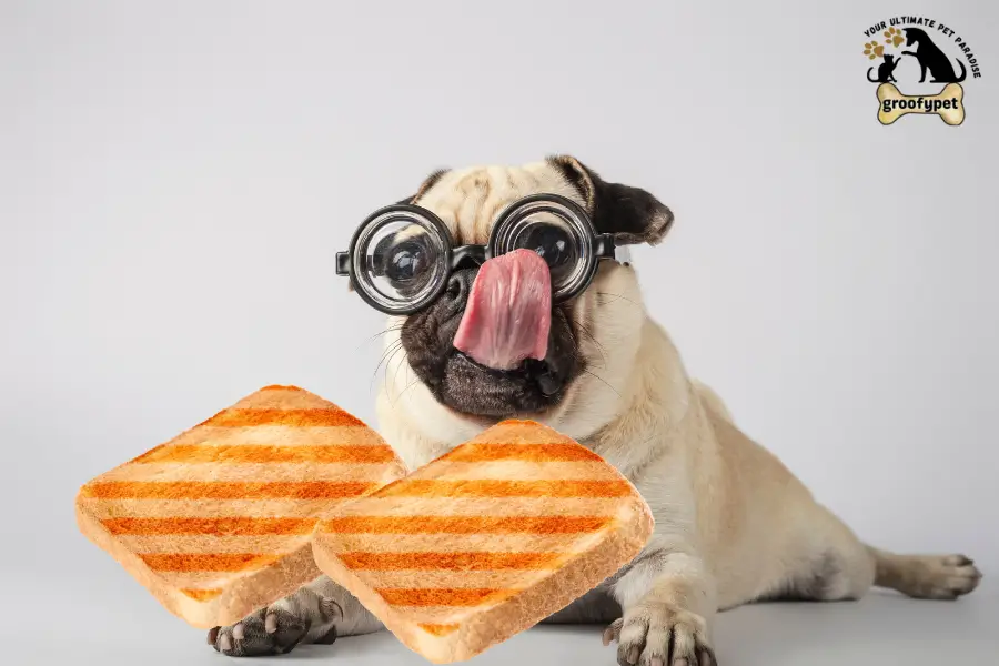 can dogs eat french toast