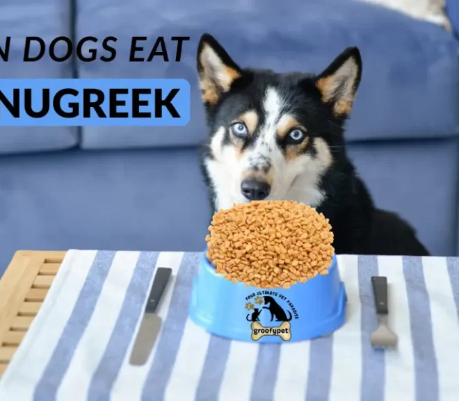 Can Dogs Eat Fenugreek?Risks Benefits and Safe Alternatives!