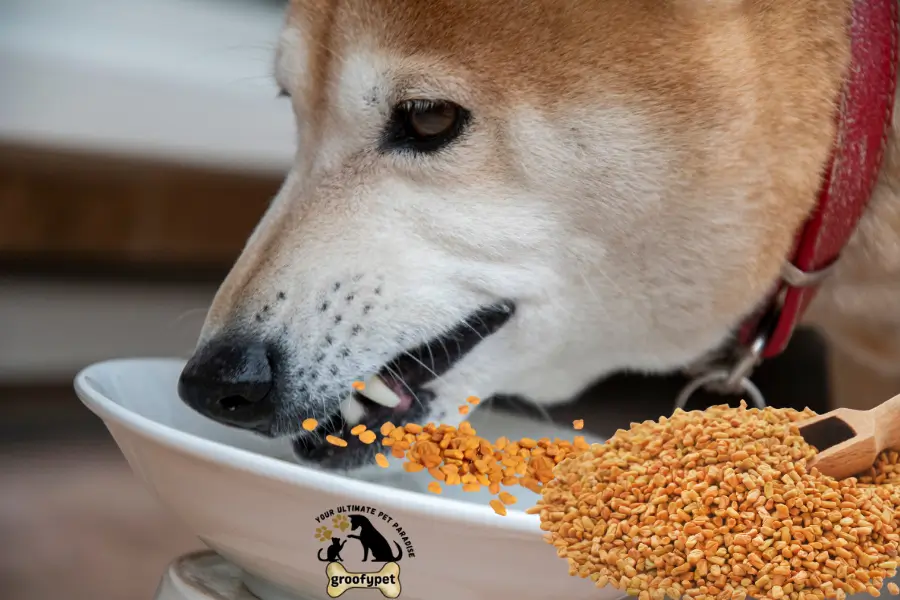 can dogs eat fenugreek