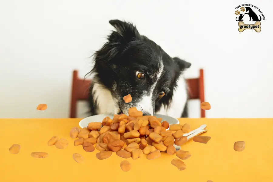 can dogs eat fenugreek